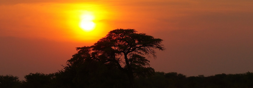 africa sunset